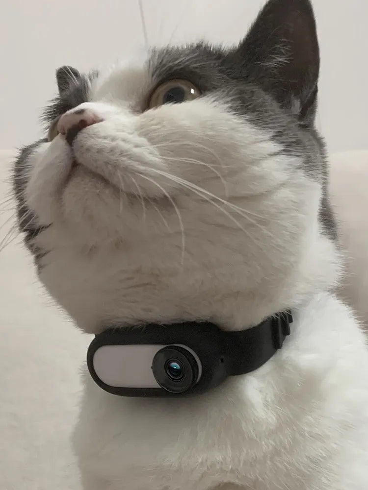 Wireless Pet Collar Camera for Cats and Dogs