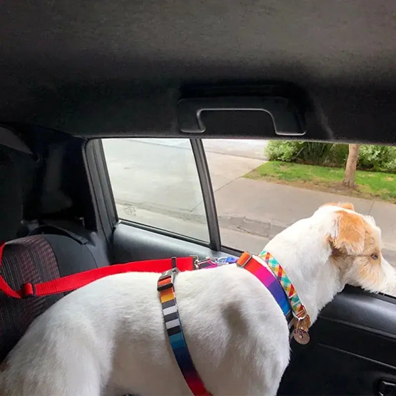 Pet Car Seat Belt & Harness Safety And Style